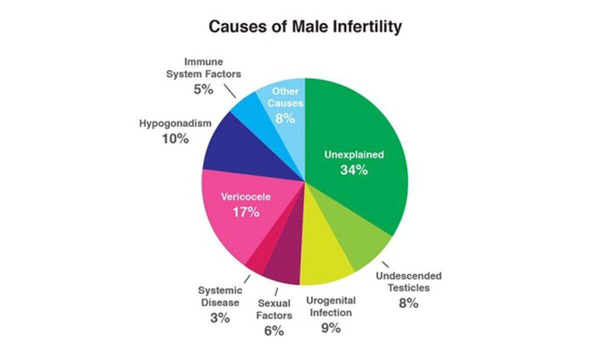 Low Sperm Count Treatment In Chennai